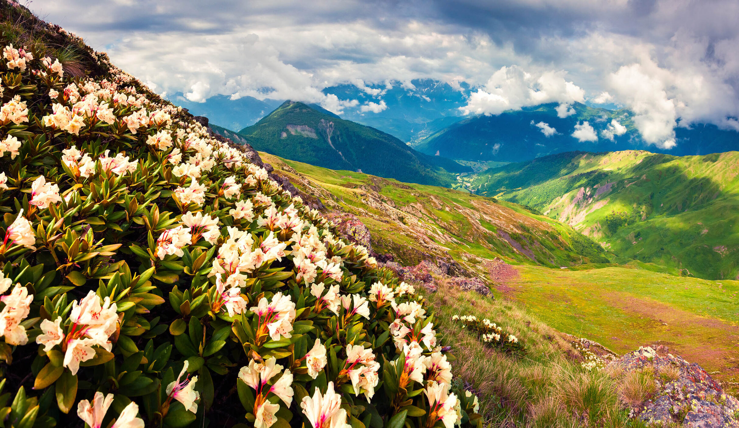 Mountain tours from kolkata by bestb tour and travel agency